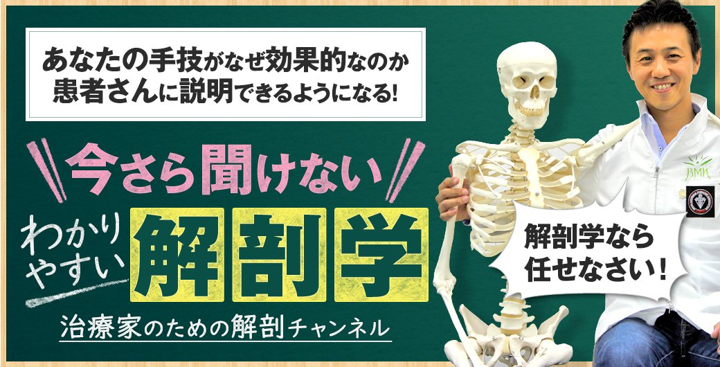 ゴッドハンド通信 今スグ使える 治療効果も実証済み そんな手技テクニックを現役ゴッドハンドが 毎日映像でわかりやすくお伝えしています
